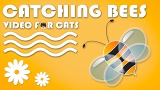 Bug Game For Cats - Catching Bees! Vídeos Para Gatos. Видео Для Котов. Video Für Katzen.