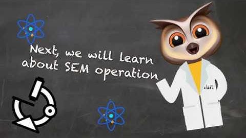 SCANNING ELECTRON MICROSCOPE (SEM)