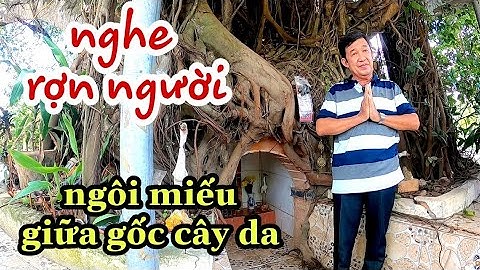 Độc lạ tâm linh cây da ôm ngôi miếu linh thiêng không ai dám mạo phạm