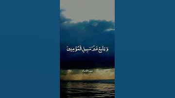 وَمَنْ يُشَاقِقِ الرَّسُولَ || سورة النساء || علي جابر