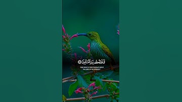 تلاوة خاشعه اسمع بقلبك 🍂🎧#قرآن #قران_كريم #quran #اكسبلور #راحة_نفسية #لايك #trending #تيك_توك