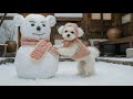 눈 오는 날, 구름이가 보내는 러브레터 🌨️💌