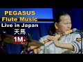 Flute | Flute Music | Flute Song | Bansuri | Basuri Dhun | Instrumental Flute Music Live in Japan 4k
