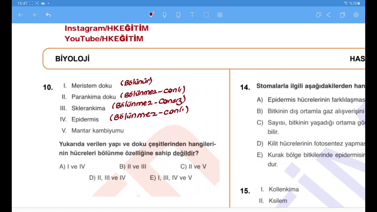 BİTKİ FİZYOLOJİSİ SORU ÇÖZÜMÜ (ÖZEL SEÇİLMİŞ SORULAR)