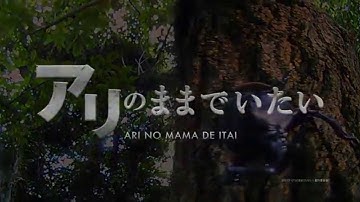 映画『アリのままでいたい』特報(2015年7月公開)