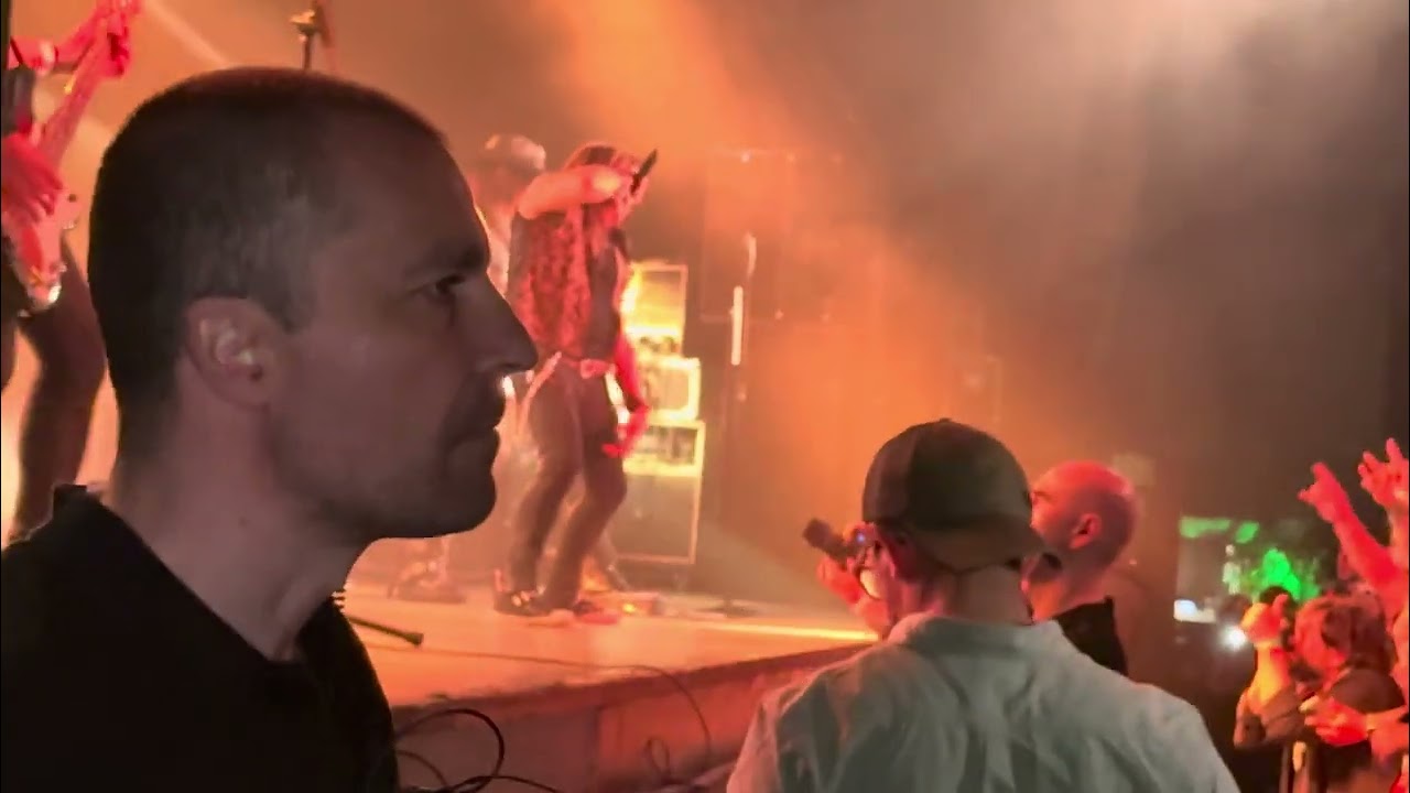 Rata blanca en Madrid