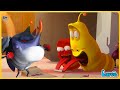 Larva Compilation: COVID - 19 🍟 Larva Cartoons - Comics - Official 🥟 Stop Motion Animation Cartoons