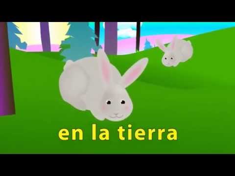 video de citas saltan los conejos