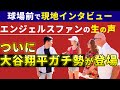【海外の反応】球場に来ているエンジェルスファンに大谷翔平について聞いてみた Part2【現地インタビュー】