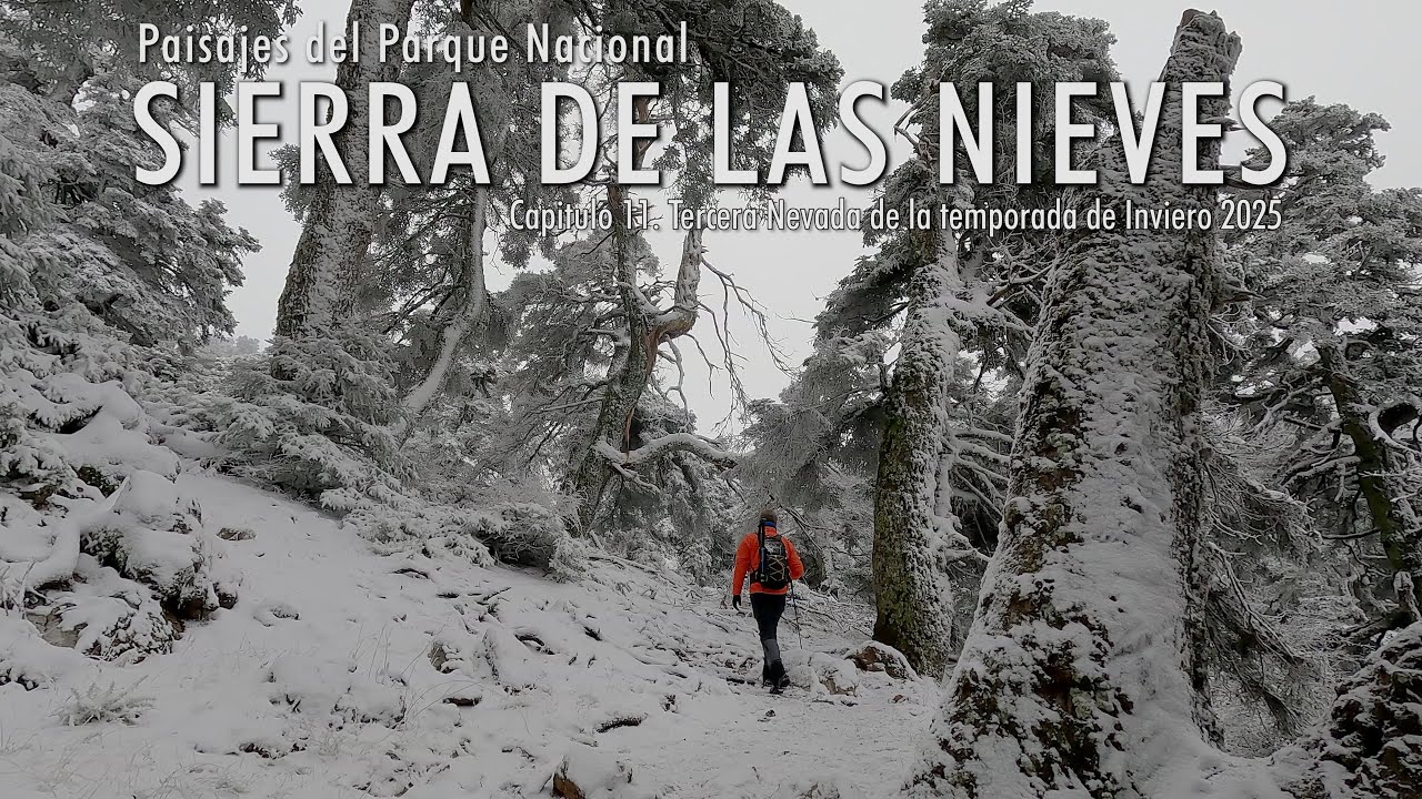 Paisajes del Parque Nacional Sierra de las Nieves, Capitulo 11.Tercera Nevada de la Temporada 2025