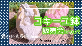 コキーユ鉢 販売会について Vol.38 【リメイク鉢】【多肉植物】【猫