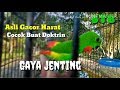 Suara Serindit Gancor Plus Gaya Jenting Ala Stb Mp3 - Mp4 Download