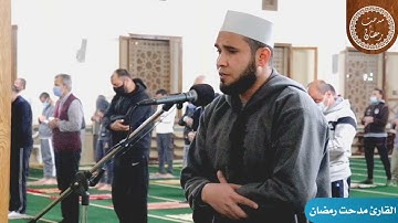 سورة التكاثر 《 ثم لتسئلن يومئذ عن النعيم 》القارئ مدحت رمضان