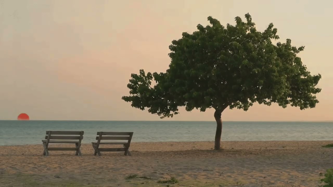 this and never seeing an AI generated video again