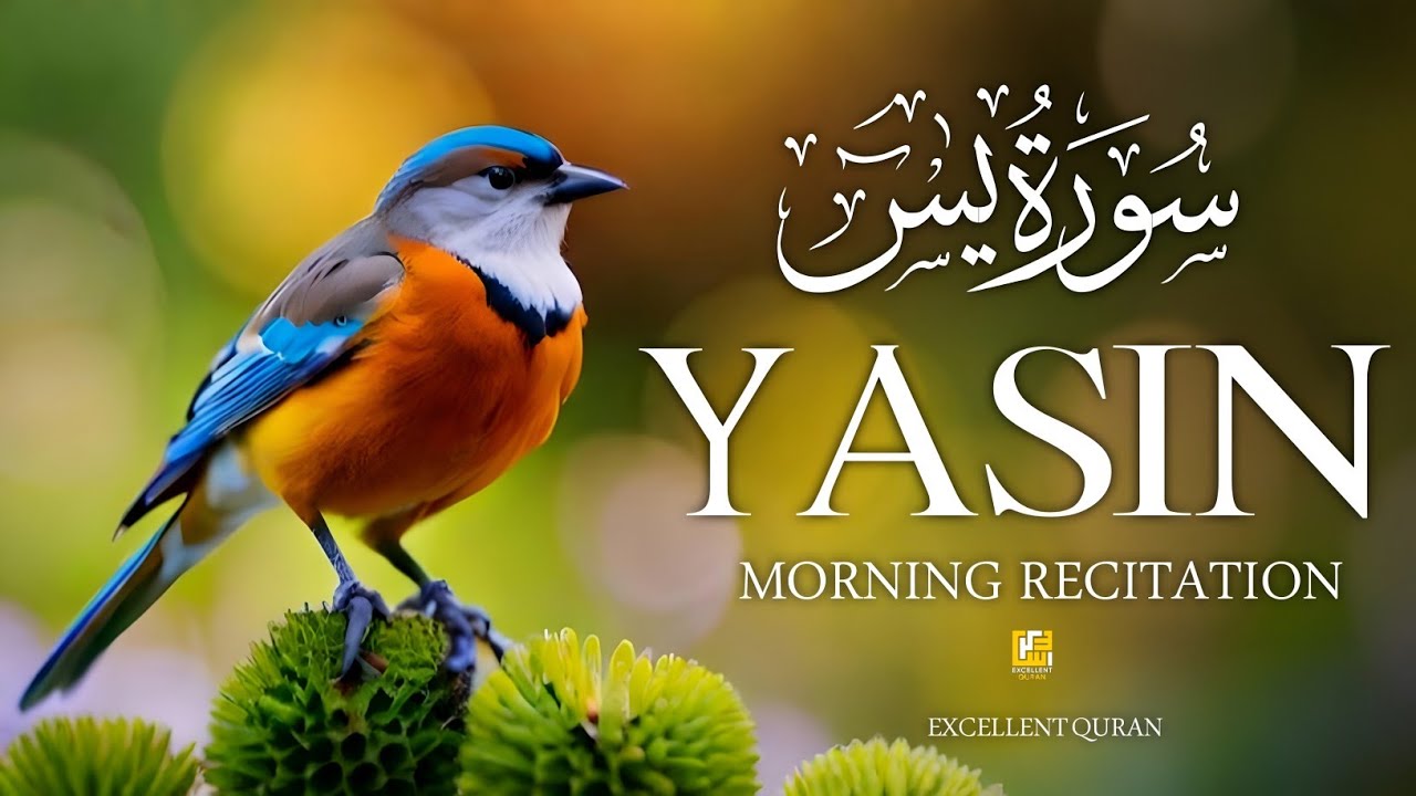 Surah Yasin (سورة يس) | Listen Every Morning | Peace for the Heart | Morning Quran | By Alaa Aqel