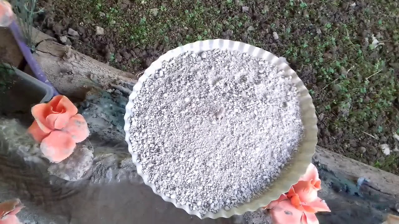 تجربتي في فترة راحة الحسون