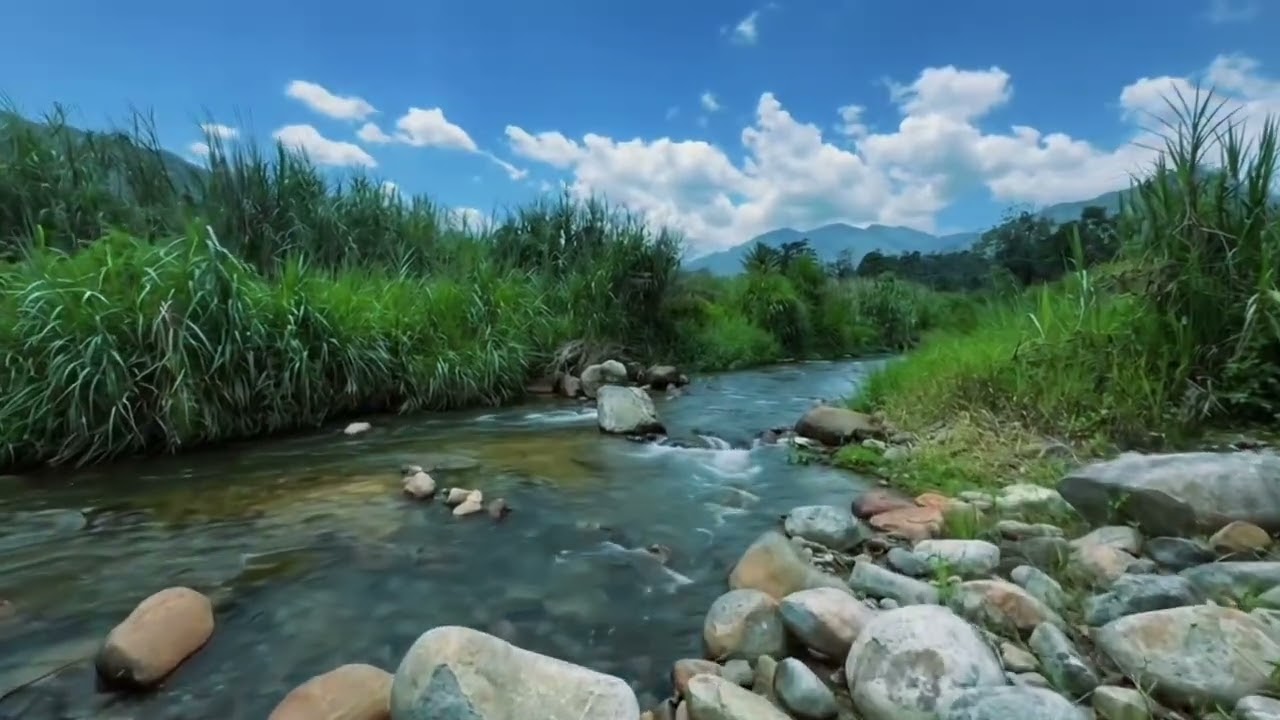 Video Tanah Janda Baik (Sungai & Resort)