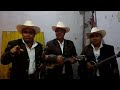 TRIO FORTALEZA #HUASTECA DE ZONTECOMATLAN VERACRUZ #musica #regionalmexicano #huapangos