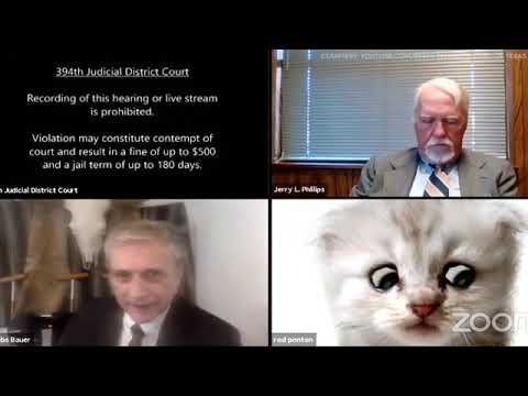 Texas attorney accidentally leaves cat filter on during Zoom call | ABC7