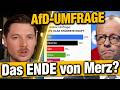 AfD weiter VORN! Nächster Umfrage-Hammer! Das ENDE von Friedrich Merz?