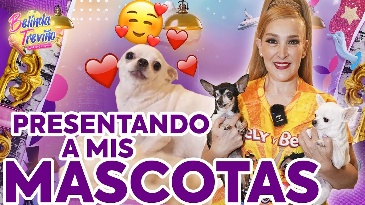 PRESENTANDO A MIS MASCOTAS - BELINDA TREVIÑO