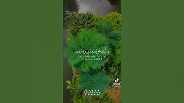 تلاوة روعه