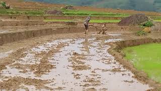 Câu chuyện của anh nông dân và cái máy cày screenshot 3