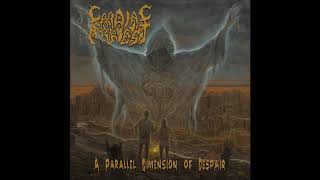 Track #8 taken from the upcoming "a parallel dimension of despair" cd,
due out on april 23rd, 2018 through memento mori (spain).
blood-drenched death metal o...
