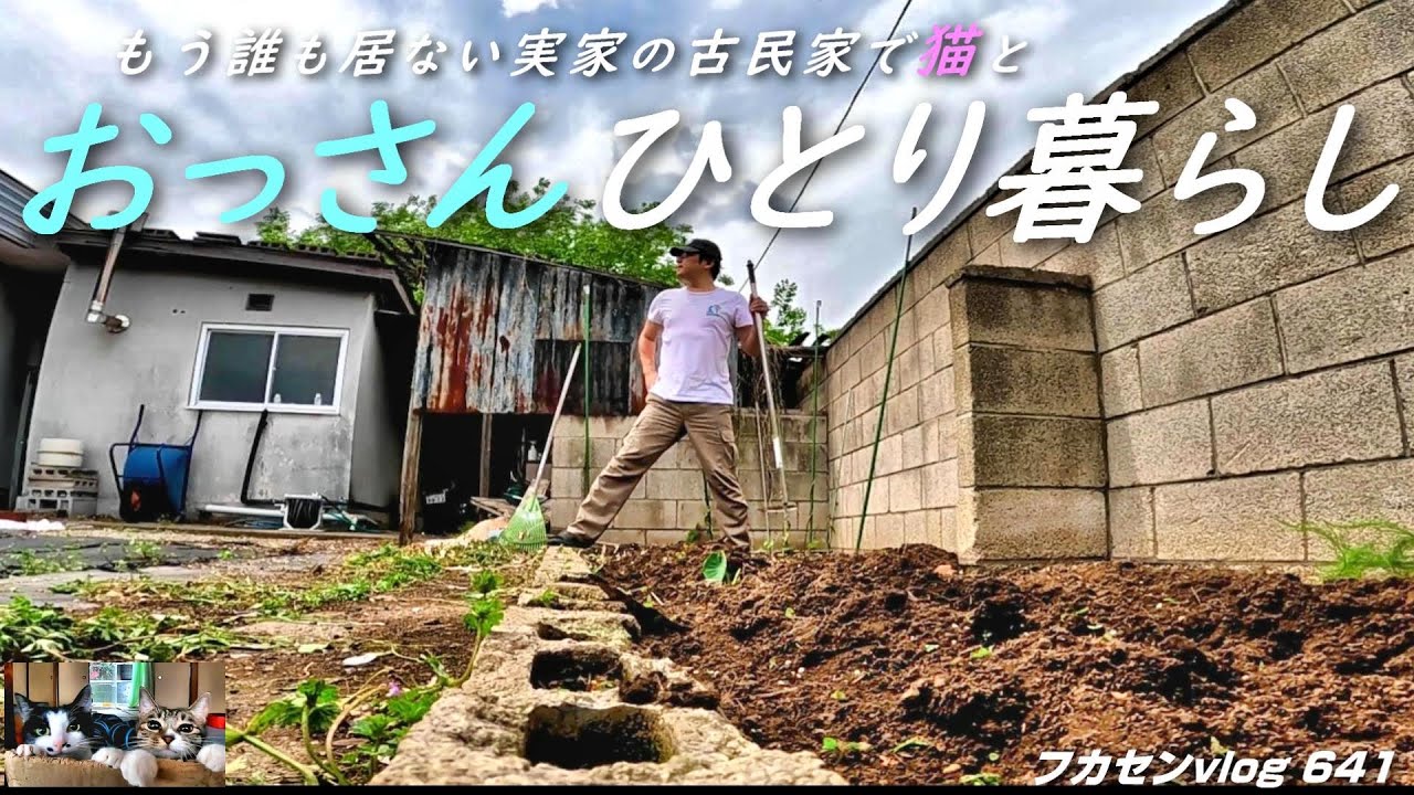 自宅迄お届け【家庭菜園、庭土、畑土、趣味で園芸にも】【好評に付き受け付け開始♡畑土なくなり次第終了】 Turning the garden space into a vegetable patch and planting tons