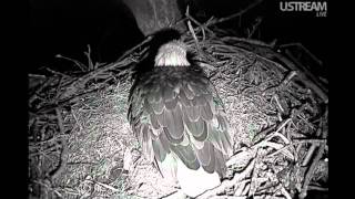 Decorah Eagles Laying of the First Egg  2-17-12  7:47pm CST