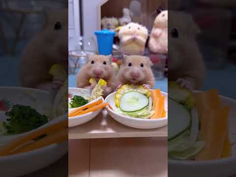 Eat sleep ? repeat ?