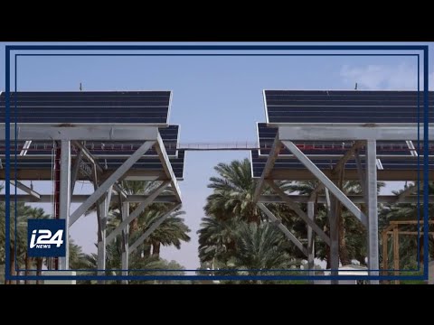 Innovative oasis produces