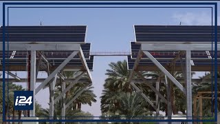 Innovative oasis produces food and electricity in Israel's desert