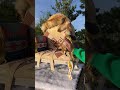 Қолжетімді бағада 😱🔥 Хан тақ 1 жас тұсаукесер Сүндет той 💪🔥 Алматы қаласы 😍