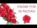 Как сделать красную розу на торт. МК по новому рецепту мастики. Флористика  How To Make Fondant Rose