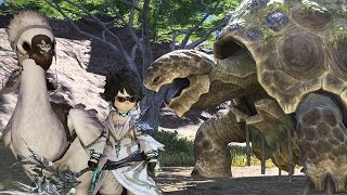 ◄FFXIV: ARR► Alpha Tortoise WHM Solo [Peisteskin Treasure Map]