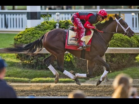 Belmont Stakes 2017: Projected Prize Money Earnings, Order of Finish and More