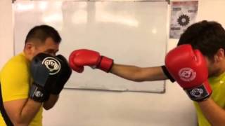 Crazy Monkey Defense Malaysia Intro Class