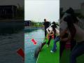 দুইটা মাছ একটা ছিপ। Two fish, one rod.।#youtubeshorts #shorts