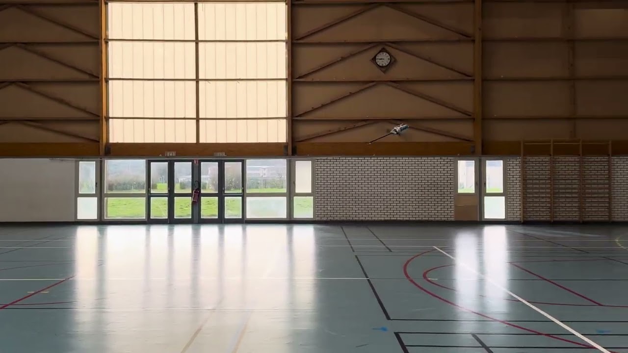 Goosky S2 Max with Rotoflight 