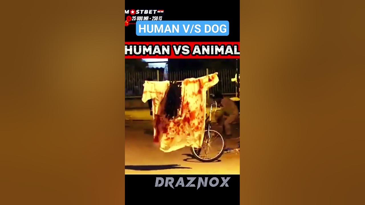 POV_-HUMAN_VS_ANIMAL_%F0%9F%91%8A%F0%9F%90%BB___hanuman___%99hanumanji ...