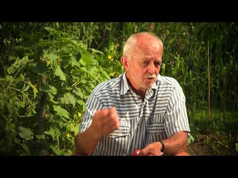 Video: Kdo In Zakaj Je Izumil Lestvico Pekoče Paprike