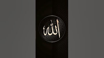 أجمل ما قرأ الشيخ ياسر الدوسري - الله نور السموات والأرض - أنوار التلاوة - Anwar Al-Tilawah