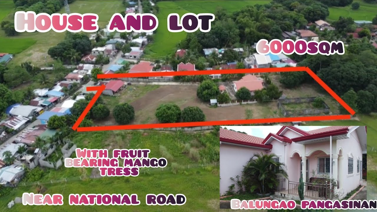 lot#172 house and lot 6000 sqm titled property. 3 rooms 2 cr 11pcs of mango trees at iba pang puno..