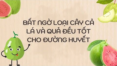Bất ngờ loại cây cả lá và quả đều tốt cho đường huyết| Báo Lao Động