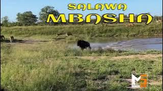 SALAWA __ MBASHA STUDIO