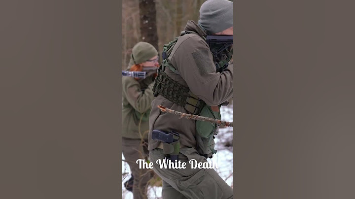 Sniper shot over 400 enemies during World War II  #knowledgenuggets #history