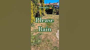 Drought of 2025 | May In Norfolk | No Rain for Months #drought #garden #plants #shootsvideo