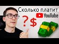 Сколько зарабатывают на YouTube БЛОГЕРЫ. Мои цифры, сколько платит ютуб 2021 (CPM 3$) #2