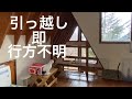【46】両耳を癌で失くした元山の野良。療養ケージを卒業して室内デビュー